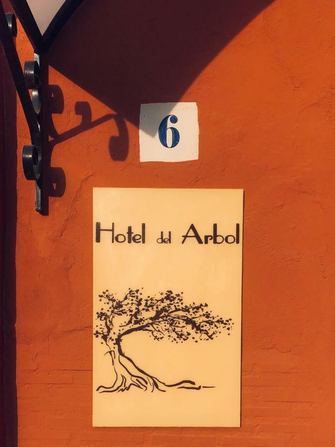Hotel Del Arbol Xàtiva Buitenkant foto